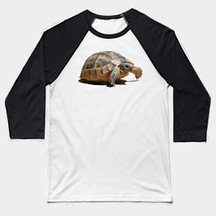 Portrait of a Young Wild Tortoise Isolated Baseball T-Shirt